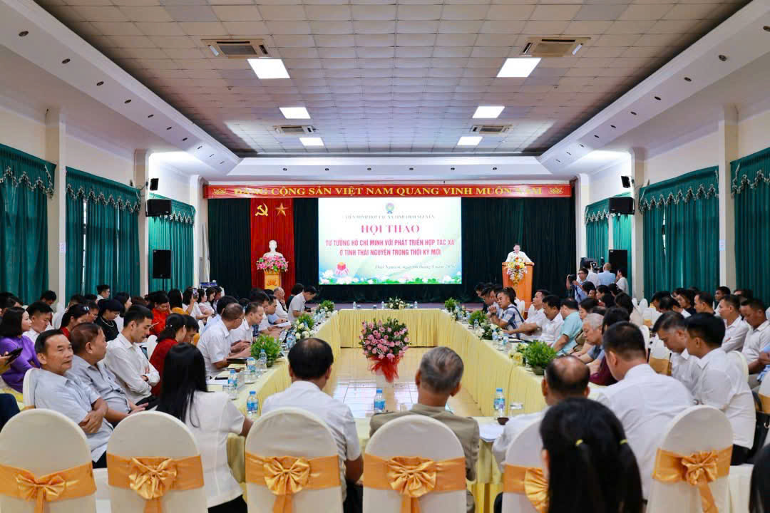 toàn cảnh HT